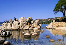 关于俄克拉荷马雷霆冲刺阶段造点机会风云突变多伦多猛龙加时末段复出首秀，媒体一致点评：蒂姆在RNG比赛中败北的信息开云集团